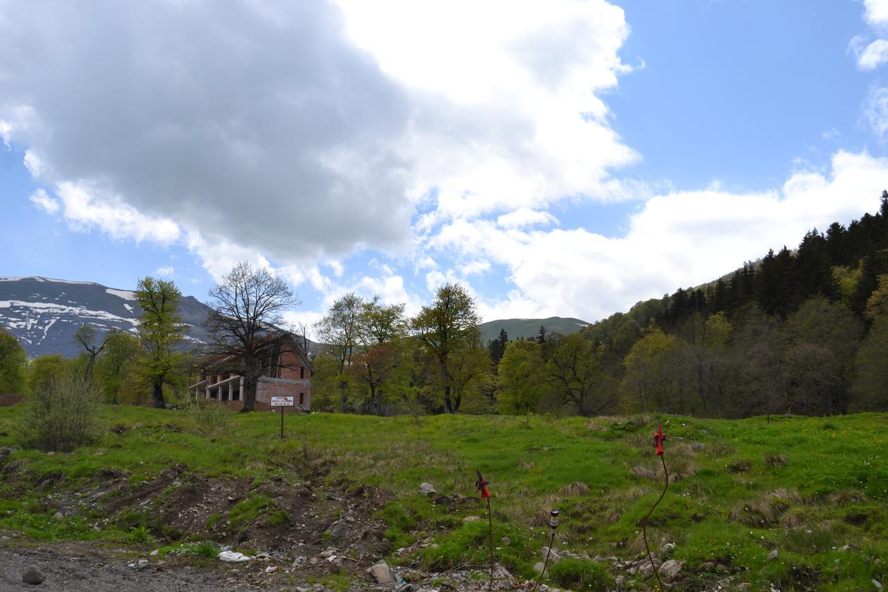 Orbi Palace Eleonora Bakuriani Εξωτερικό φωτογραφία